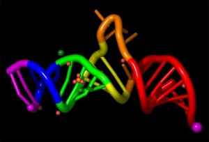 (ARN. Ilustración)