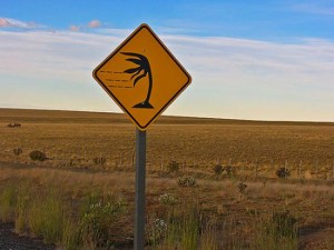 (El viento es un fenómeno climático )